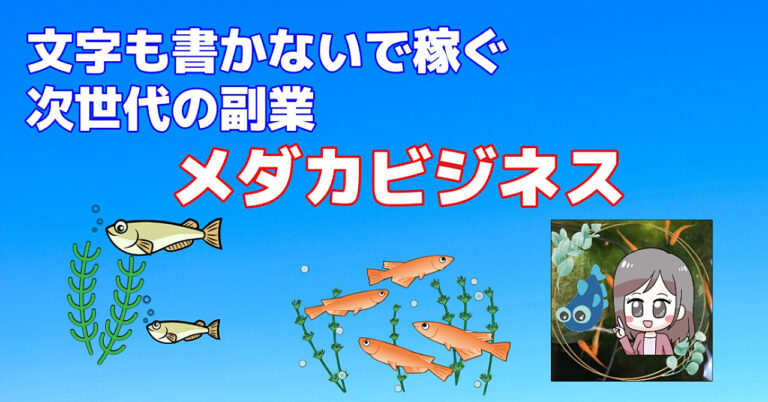 【文字も書かないで稼ぐ次世代の副業　メダカビジネス】